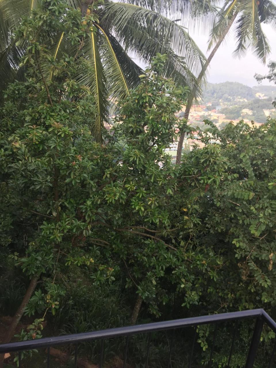 Upland Inn Kandy Ngoại thất bức ảnh